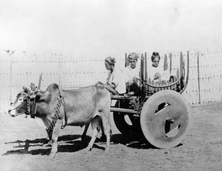 Carrosse birman, vers 1870-80